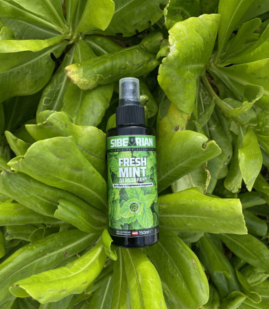Дезодорант для обуви SIBEARIAN FRESH MINT 150 мл
